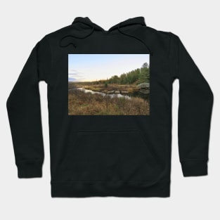 Algonquin Marshland Hoodie